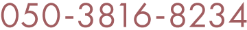 050-3816-8234