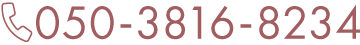 050-3816-8234